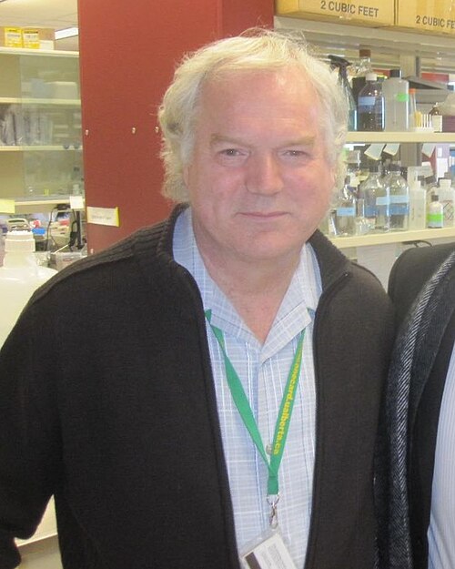 Portrait of Michael Houghton